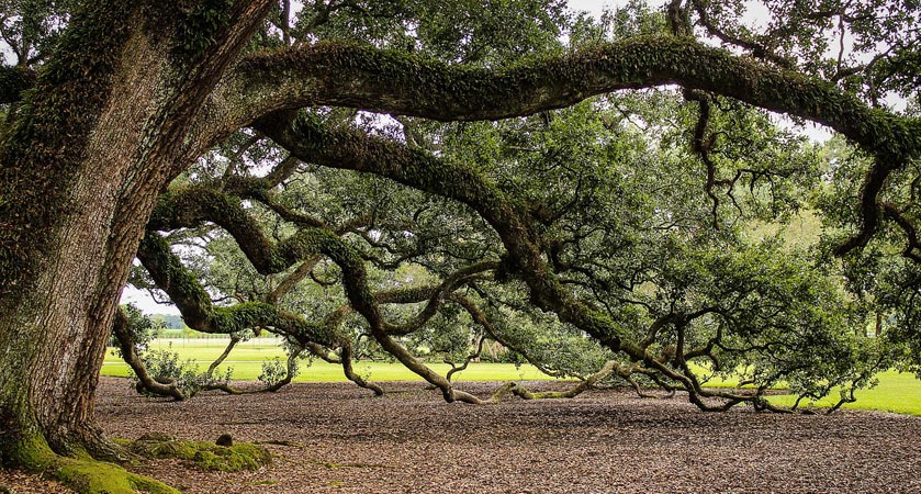 免费短信云呼轰炸机